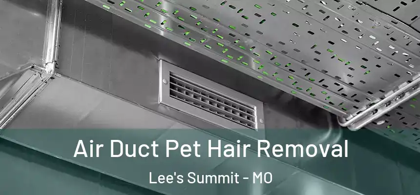 Air Duct Pet Hair Removal Lee's Summit - MO