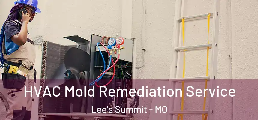 HVAC Mold Remediation Service Lee's Summit - MO