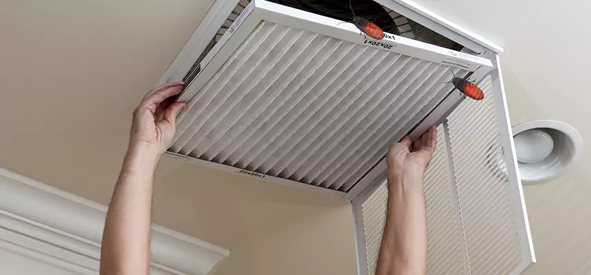 Preventive Cockroach-Proofing for Ducts in Lee's Summit