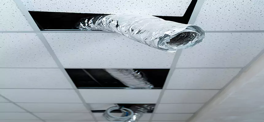 Our Air Duct Pet Hair Removal Services in Lee's Summit, MO