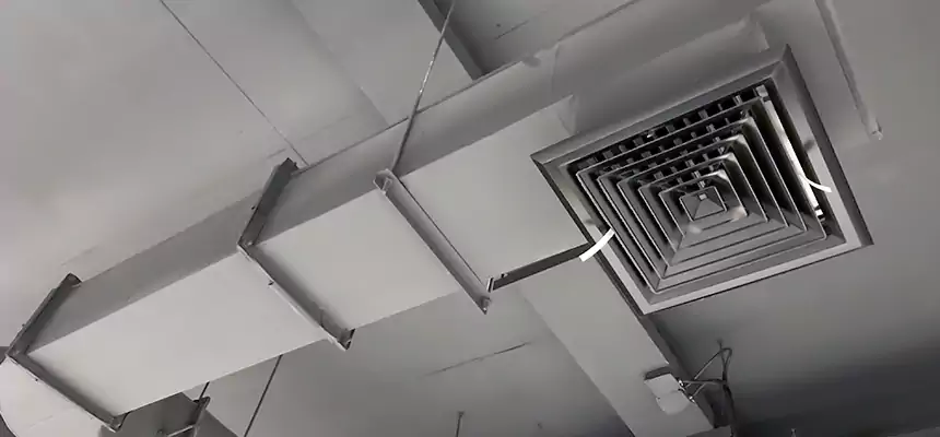 Our Pest Removal From Ducts Services in Lee's Summit, MO