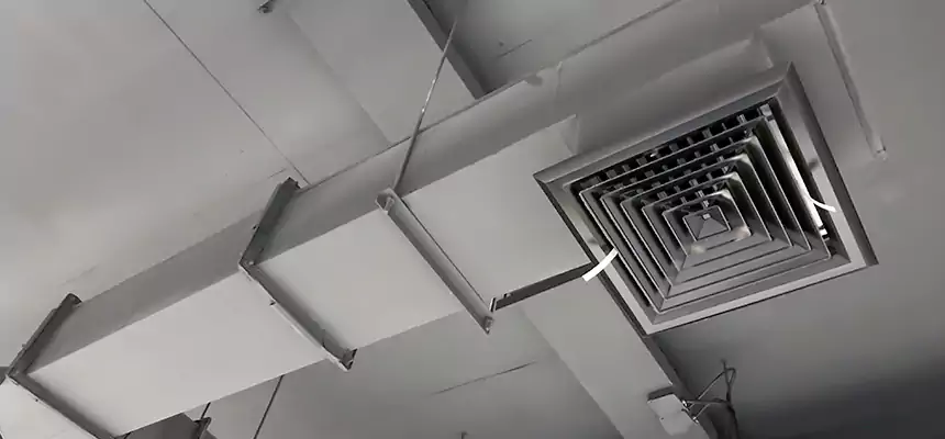 Our Rodent Droppings In Vents Services in Lee's Summit, MO