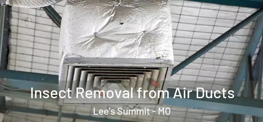 Insect Removal from Air Ducts Lee's Summit - MO