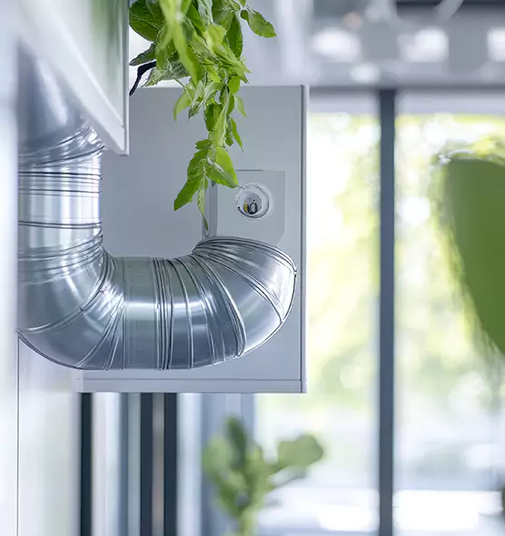 Professional Eco-Friendly Duct Cleaning Services in Lee's Summit, MO