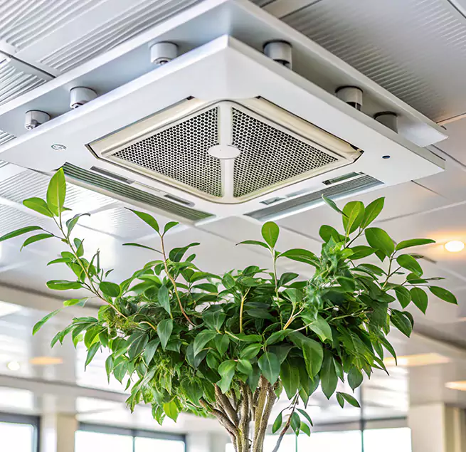 Why Homeowners & Businesses Trust Us in Lee's Summit, MO