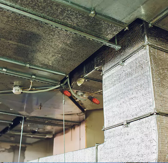 Why Homeowners & Businesses Trust Us Lee's Summit, MO?