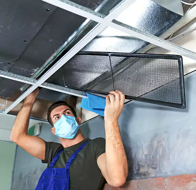 Why Homeowners Businesses Trust Us in Lee's Summit, MO